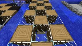 walkway-wood-glass.jpg walkway-wood-glass.jpg