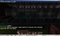 Dantae's Minecraft Sea Gate Night.jpg