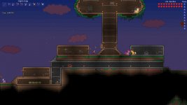 Terraria ponies.jpg