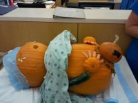 pumpkin.jpg