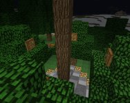 Tree Lights.jpg