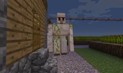 VillagerGuard.jpg