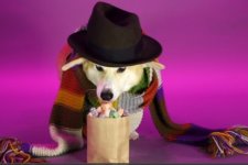 Corgi Tom Baker.jpg