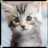 steffen12312